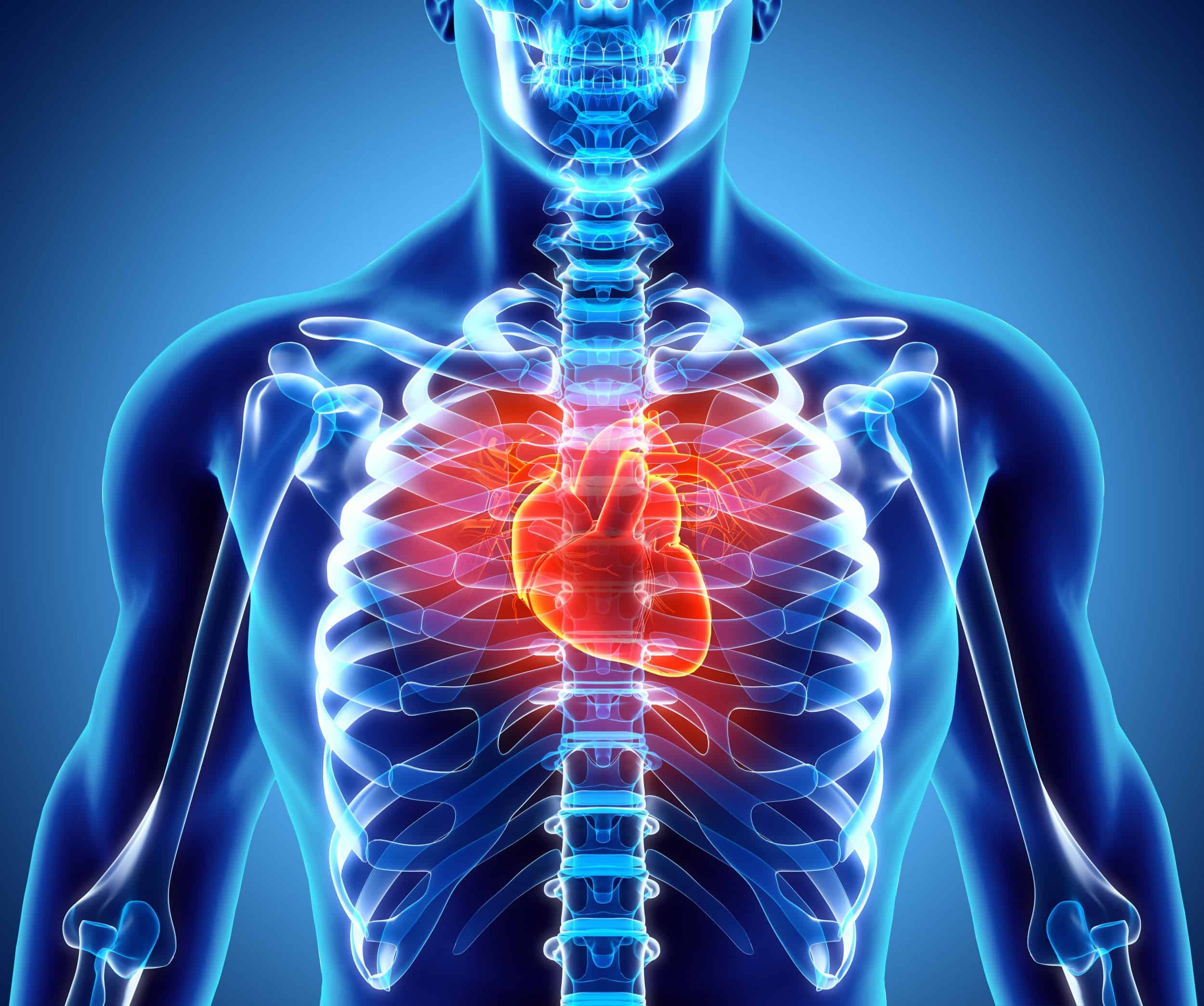 Cardiovascular Risk Assessment and Treatment